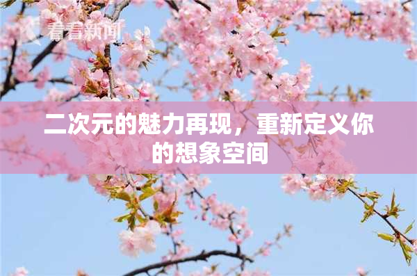 二次元的魅力再现，重新定义你的想象空间