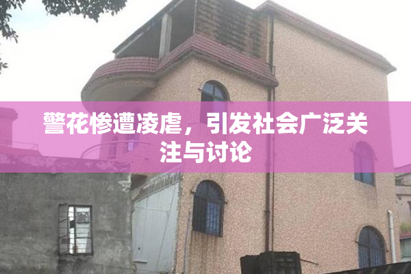 警花惨遭凌虐，引发社会广泛关注与讨论