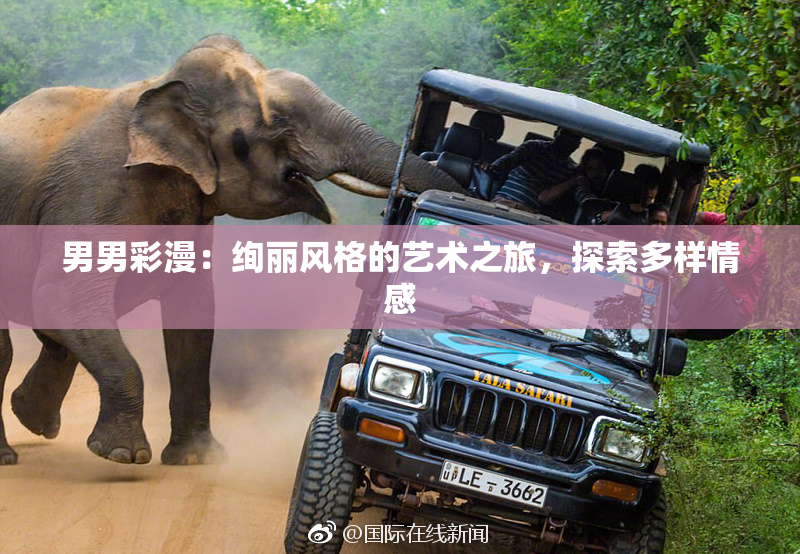 男男彩漫：绚丽风格的艺术之旅，探索多样情感