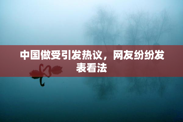 中国做受引发热议，网友纷纷发表看法