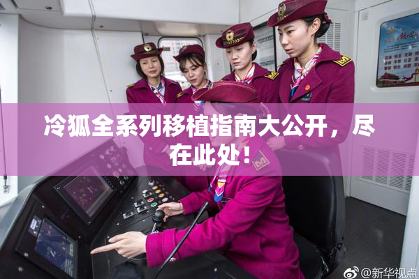 冷狐全系列移植指南大公开，尽在此处！