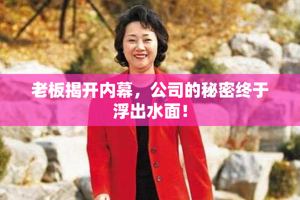 老板揭开内幕，公司的秘密终于浮出水面！