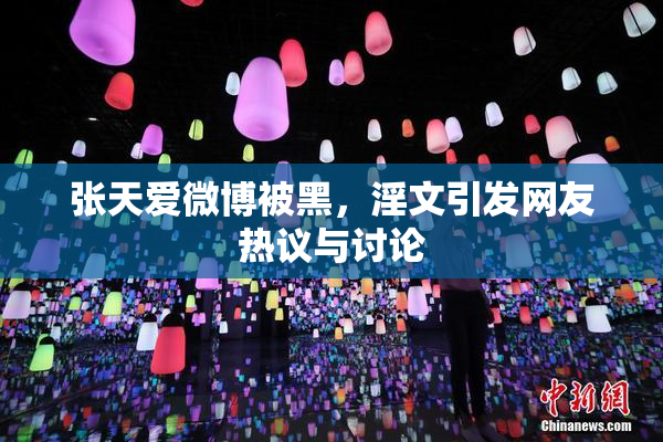 张天爱微博被黑，淫文引发网友热议与讨论