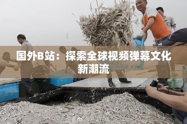 国外B站：探索全球视频弹幕文化新潮流