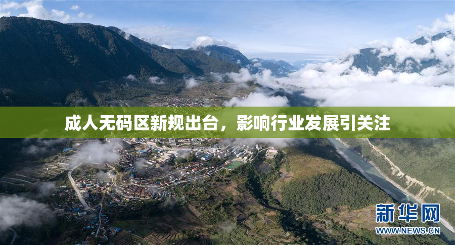 成人无码区新规出台，影响行业发展引关注