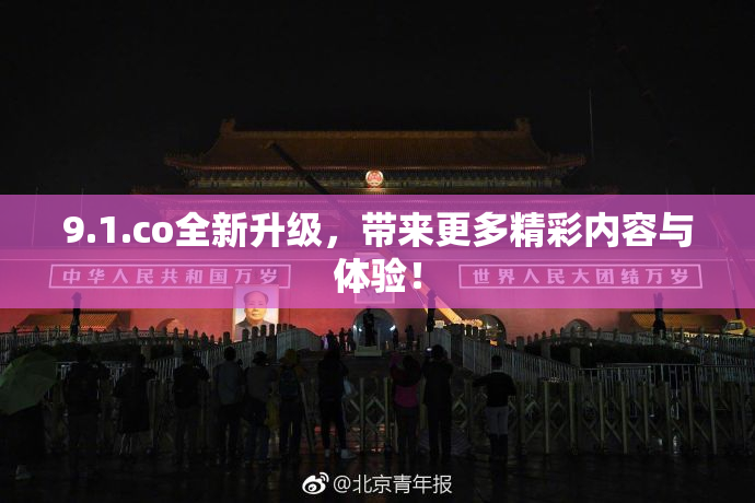 9.1.co全新升级，带来更多精彩内容与体验！