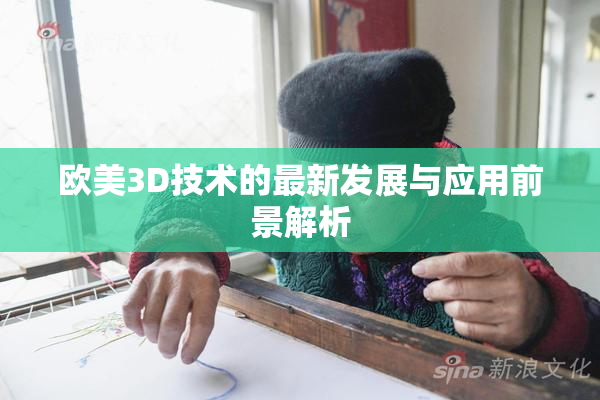 欧美3D技术的最新发展与应用前景解析