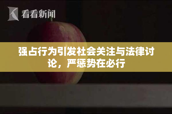 强占行为引发社会关注与法律讨论，严惩势在必行