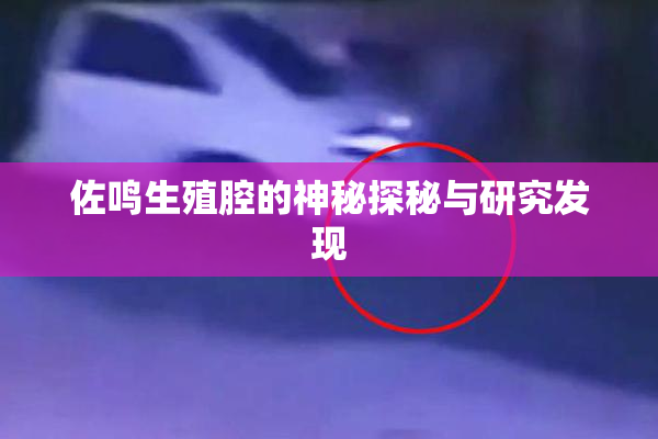 佐鸣生殖腔的神秘探秘与研究发现