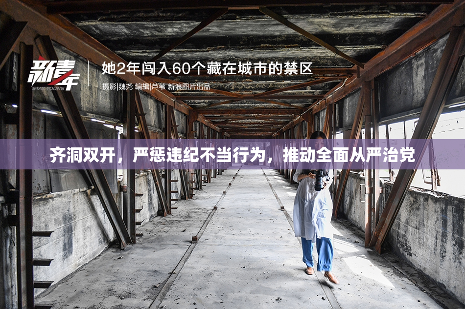 齐洞双开，严惩违纪不当行为，推动全面从严治党