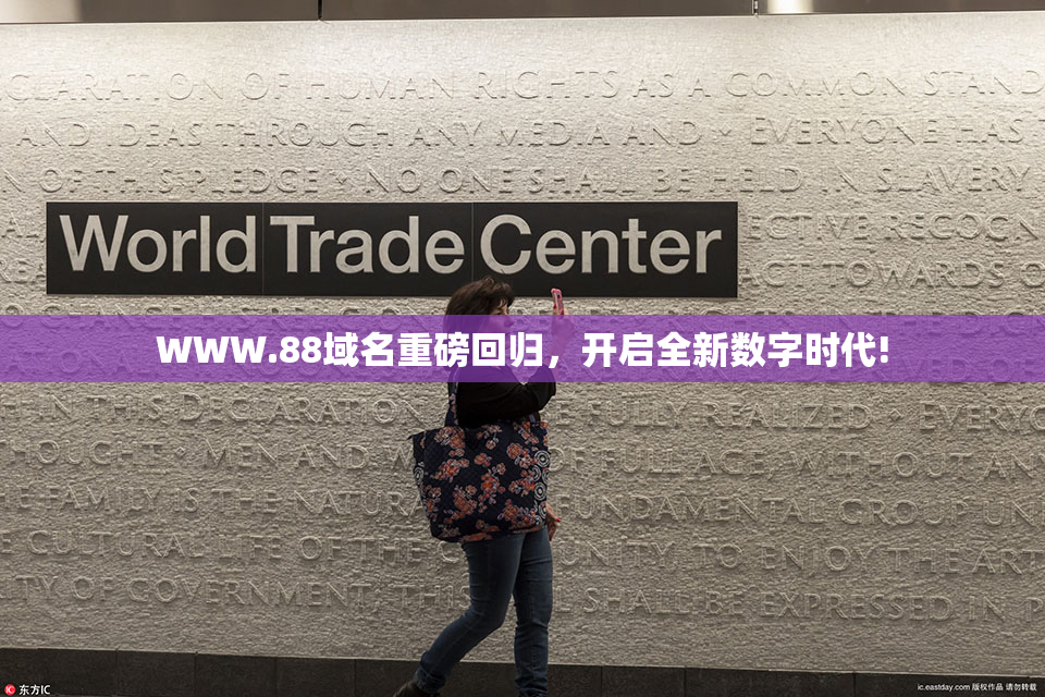 WWW.88域名重磅回归，开启全新数字时代!