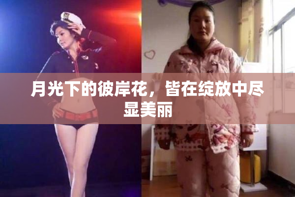 月光下的彼岸花，皆在绽放中尽显美丽