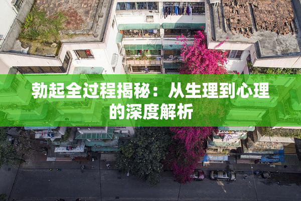 勃起全过程揭秘：从生理到心理的深度解析