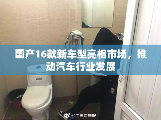 国产16款新车型亮相市场，推动汽车行业发展