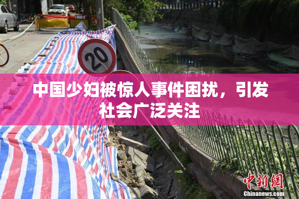 中国少妇被惊人事件困扰，引发社会广泛关注