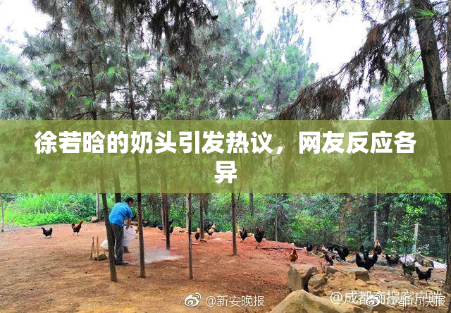 徐若晗的奶头引发热议，网友反应各异