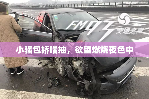 小骚包娇喘抽，欲望燃烧夜色中