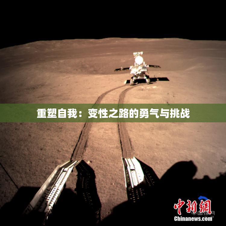 重塑自我：变性之路的勇气与挑战