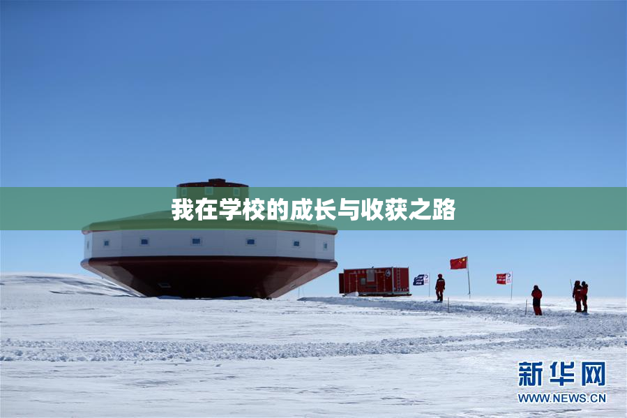 我在学校的成长与收获之路