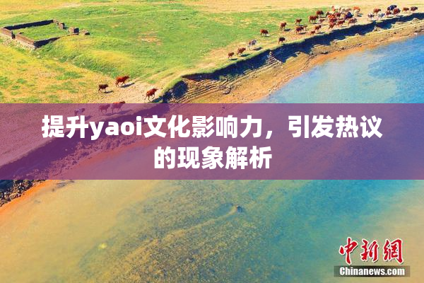 提升yaoi文化影响力，引发热议的现象解析
