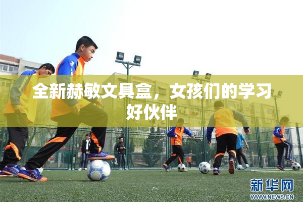 全新赫敏文具盒，女孩们的学习好伙伴