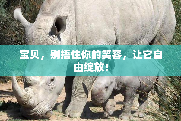 宝贝，别捂住你的笑容，让它自由绽放！