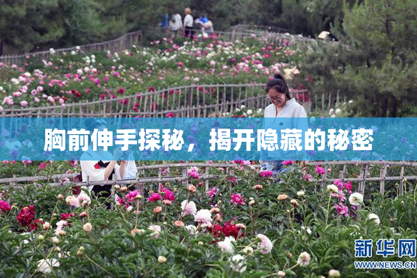 胸前伸手探秘，揭开隐藏的秘密