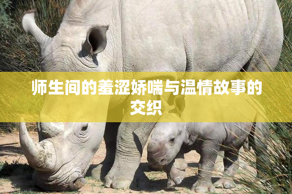 师生间的羞涩娇喘与温情故事的交织