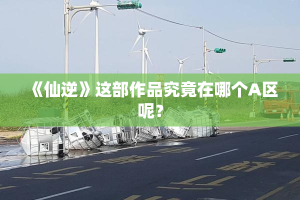 《仙逆》这部作品究竟在哪个A区呢？