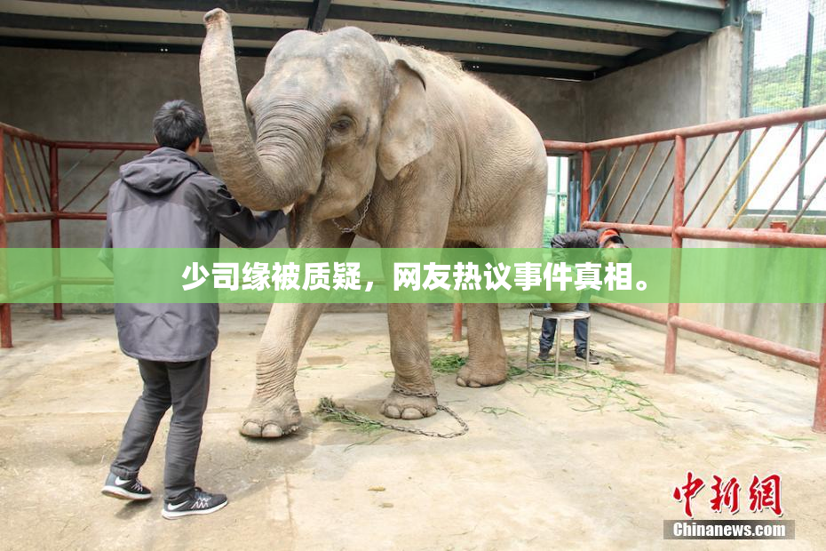 少司缘被质疑，网友热议事件真相。