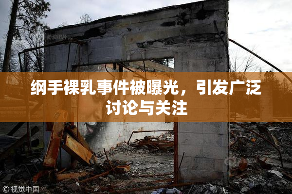 纲手裸乳事件被曝光，引发广泛讨论与关注