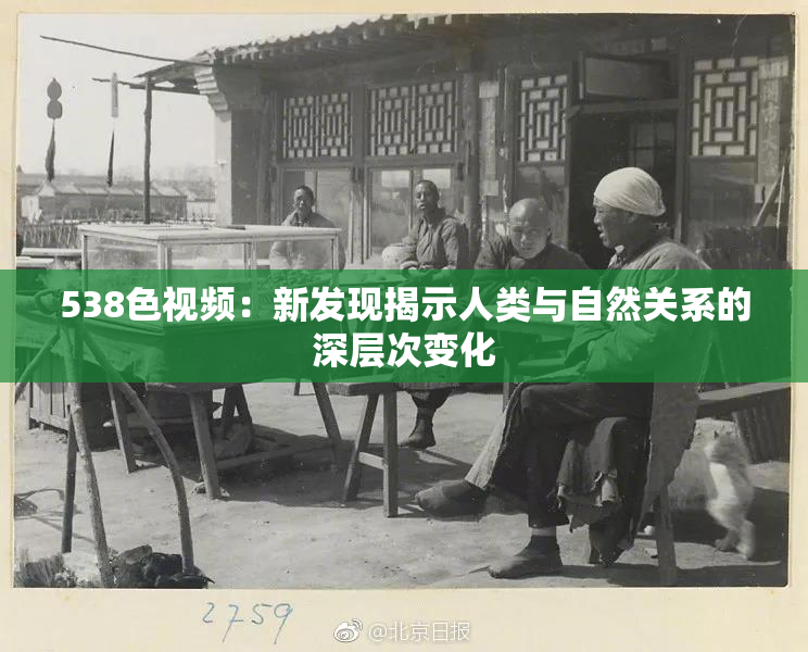 538色视频：新发现揭示人类与自然关系的深层次变化