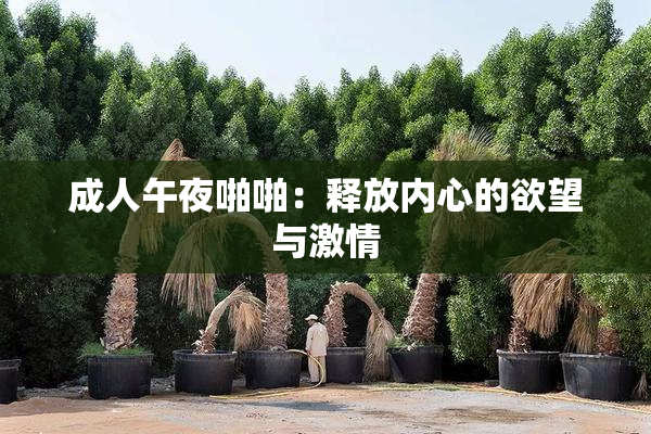 成人午夜啪啪：释放内心的欲望与激情