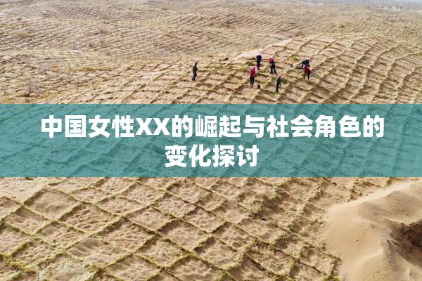 中国女性XX的崛起与社会角色的变化探讨