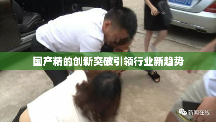 国产精的创新突破引领行业新趋势
