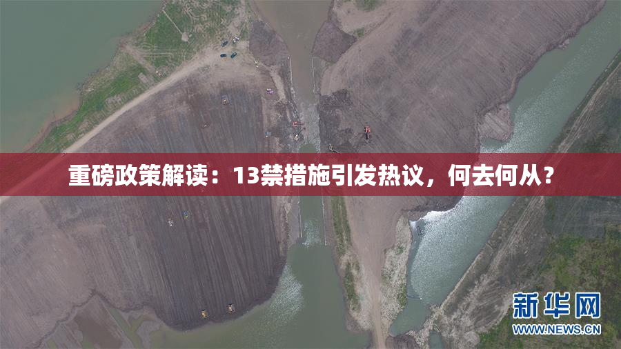 重磅政策解读：13禁措施引发热议，何去何从？