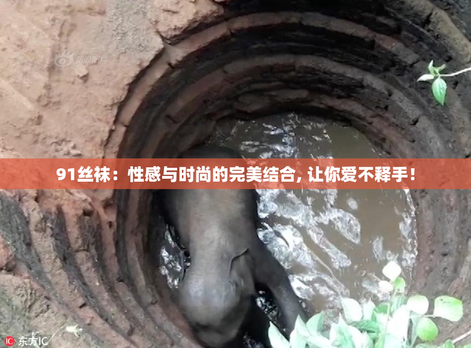 91丝袜：性感与时尚的完美结合, 让你爱不释手！