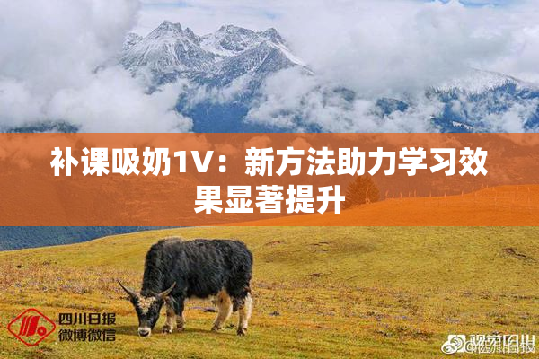 补课吸奶1V：新方法助力学习效果显著提升