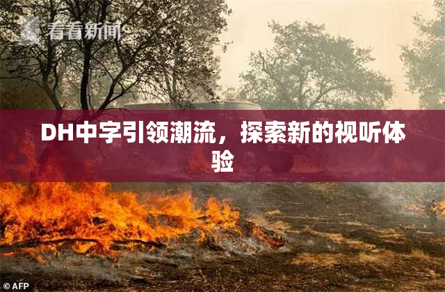 DH中字引领潮流，探索新的视听体验