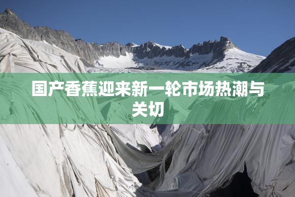 国产香蕉迎来新一轮市场热潮与关切