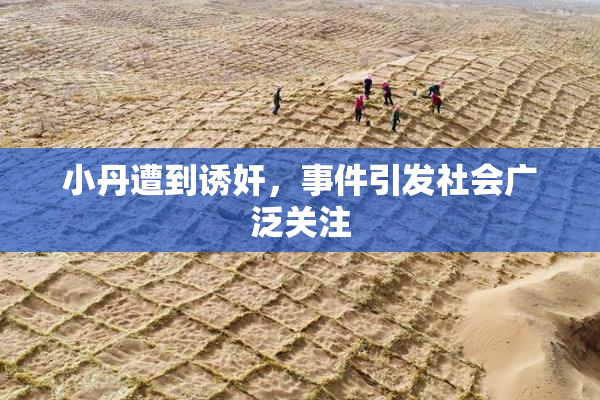 小丹遭到诱奸，事件引发社会广泛关注