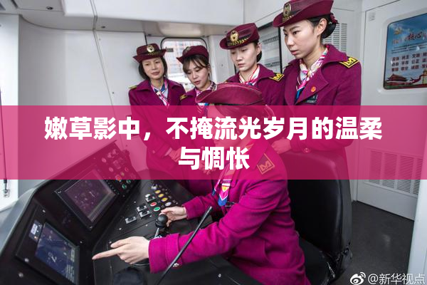 嫩草影中，不掩流光岁月的温柔与惆怅