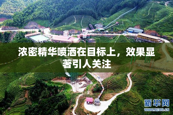 浓密精华喷洒在目标上，效果显著引人关注