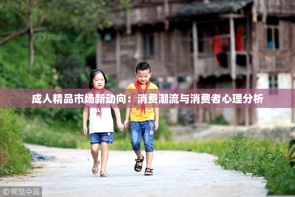 成人精品市场新动向：消费潮流与消费者心理分析
