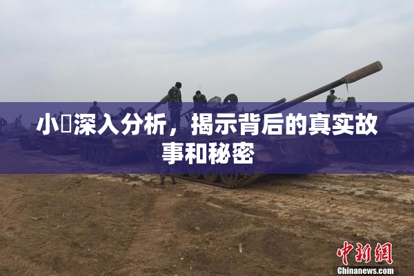 小泬深入分析，揭示背后的真实故事和秘密