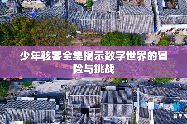少年骇客全集揭示数字世界的冒险与挑战