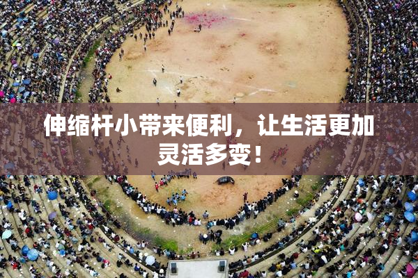 伸缩杆小带来便利，让生活更加灵活多变！