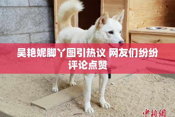 吴艳妮脚丫图引热议 网友们纷纷评论点赞