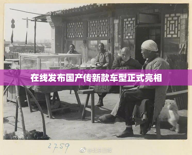 在线发布国产传新款车型正式亮相