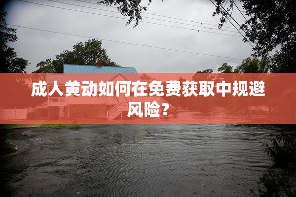 成人黄动如何在免费获取中规避风险？